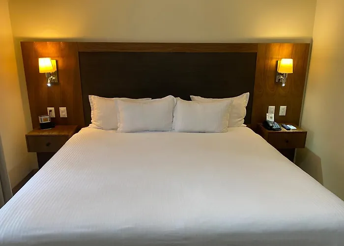 Wyndham Garden Mexico Reforma